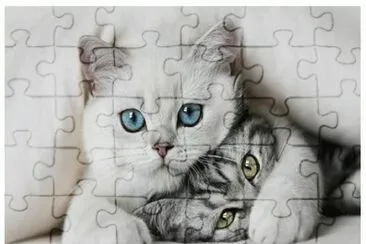 פאזל של Gatitos