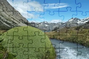 Paso Valdivieso. Tierra del Fuego. Argentina jigsaw puzzle