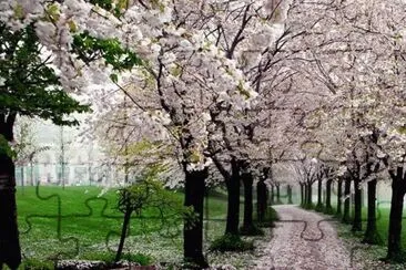 paisagem jigsaw puzzle