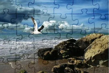 En Puerto Madryn. Chubut. Argentina jigsaw puzzle