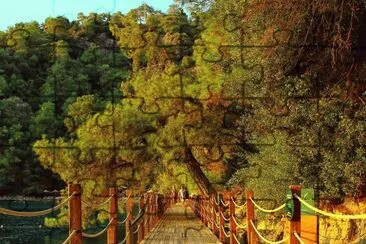 537 jigsaw puzzle
