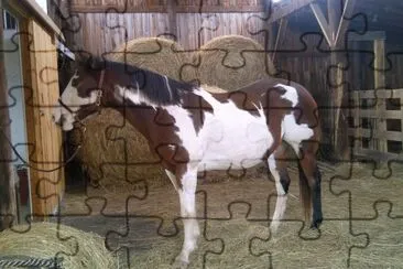 Riding and Writing jigsaw puzzle
