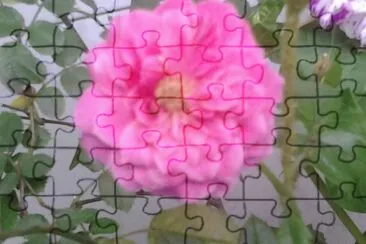 PRIMAVERA jigsaw puzzle
