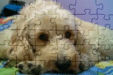 fox jigsaw puzzle
