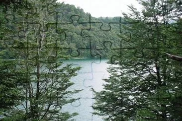 Lago Escondido. NeuquÃ©n. Argentina