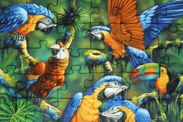 arara jigsaw puzzle