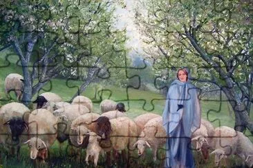 ovelhas jigsaw puzzle