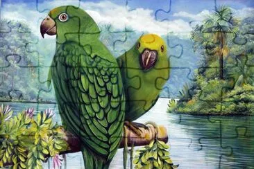 papagaio jigsaw puzzle