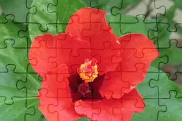 150905 jigsaw puzzle