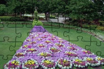 PAVO REAL FLORIDO