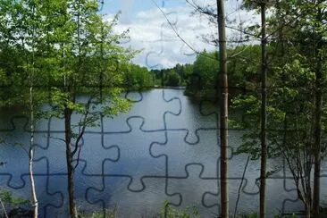 Summer 's day in the woods...got your fishing rod?