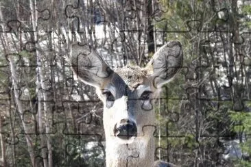 Hi there!   How 's she goin ' ?