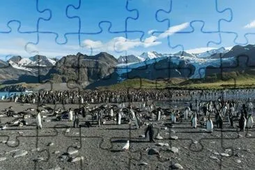 Isla Georgia del Sur. ARGENTINA jigsaw puzzle