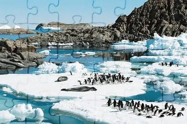 En la AntÃ¡rtida Argentina