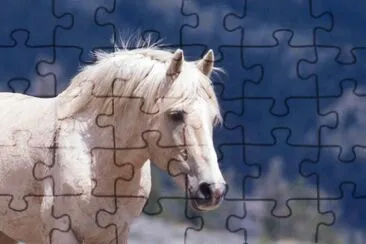 White jigsaw puzzle