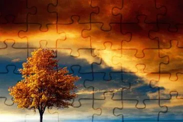 Autumn Dream