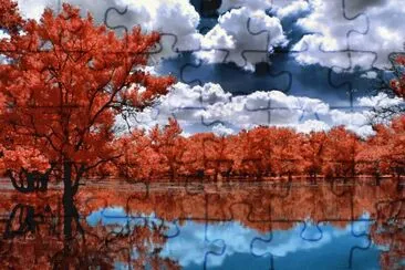 Natureza