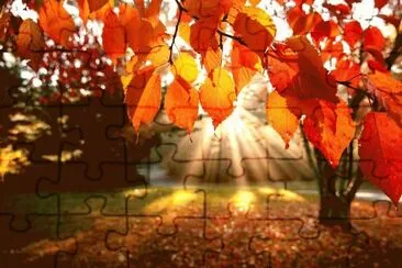 2 jigsaw puzzle
