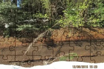 Huellas de erupciones