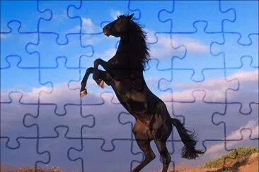 Up jigsaw puzzle