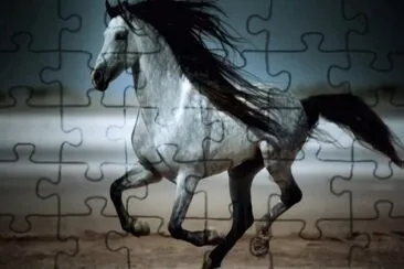 Beach jigsaw puzzle