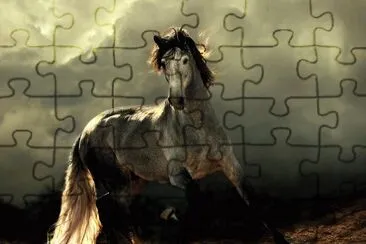 Espanhol jigsaw puzzle