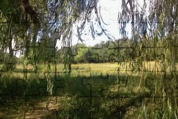 Villaguay. Entre RÃ­os. Argentina