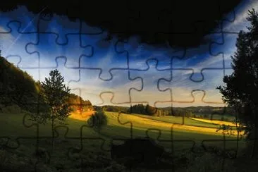 rroogg123 jigsaw puzzle