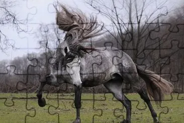 Madeixas jigsaw puzzle