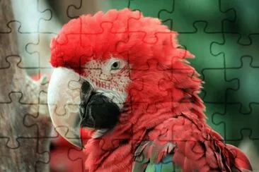 coco jigsaw puzzle