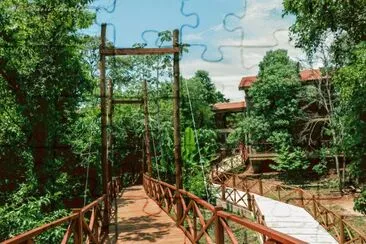 En la Selva de IryapÃº. Misiones. Argentina jigsaw puzzle