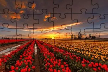 Natureza jigsaw puzzle