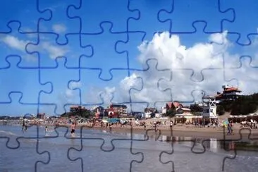 t pinamar jigsaw puzzle