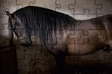 Estabulo jigsaw puzzle