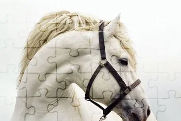 White Face jigsaw puzzle