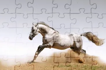Run jigsaw puzzle
