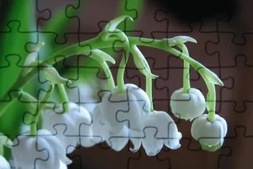 mughetto jigsaw puzzle