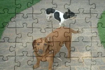 Tob e Kiska jigsaw puzzle