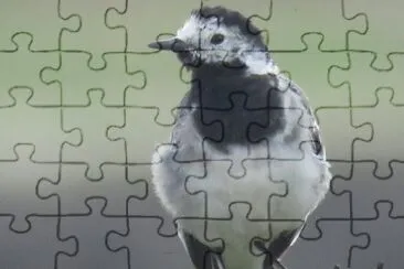 ×™×•× ×”