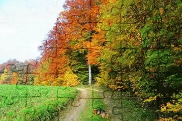 chemin jigsaw puzzle