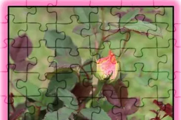 SUAVE jigsaw puzzle