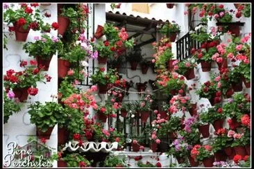 patio florido jigsaw puzzle