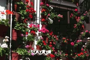 flores en el patio jigsaw puzzle