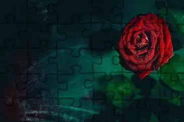 flores jigsaw puzzle