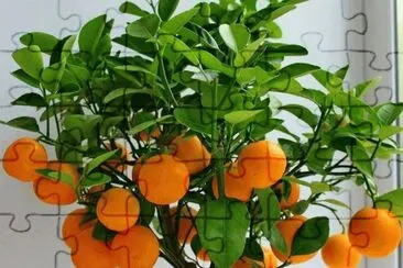 naranjas