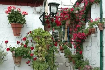 flores