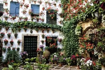 CÃ³rdoba florido jigsaw puzzle