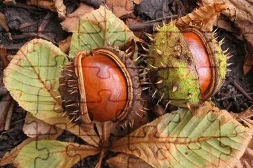 Chestnuts