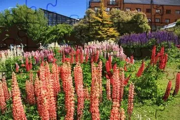 Feliz DÃ­a de la Primavera. (En Ushuaia. Tierra del Fuego) jigsaw puzzle