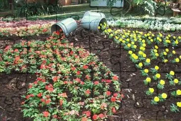 Feliz DÃ­a de la Primavera. (En Montecarlo. Misiones)